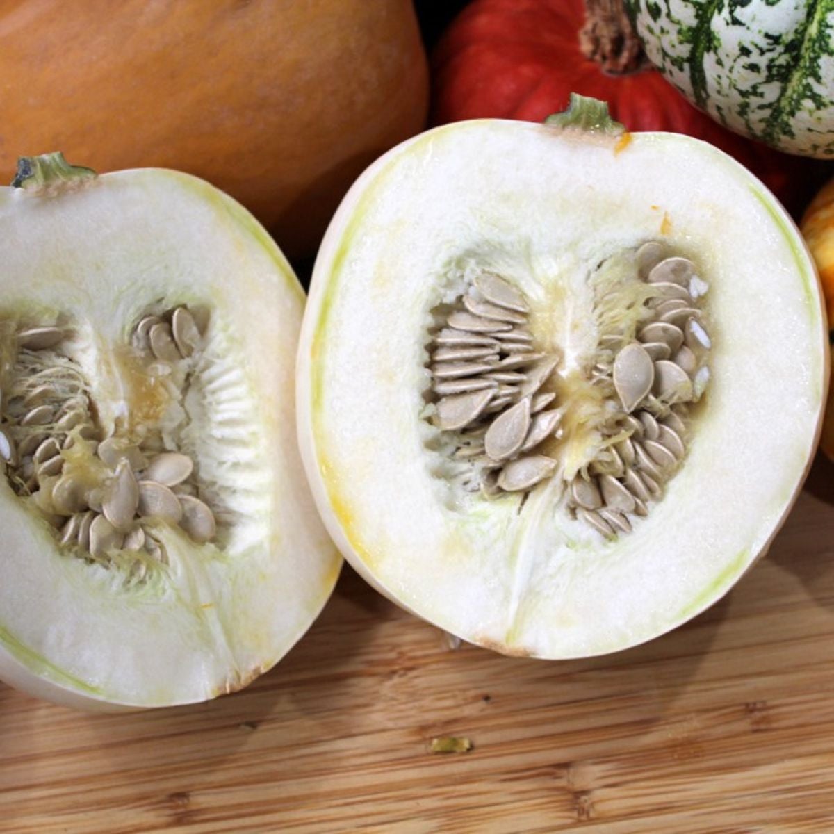 Tykev White Pearl - Cucurbita pepo - osivo tykve - 6 ks