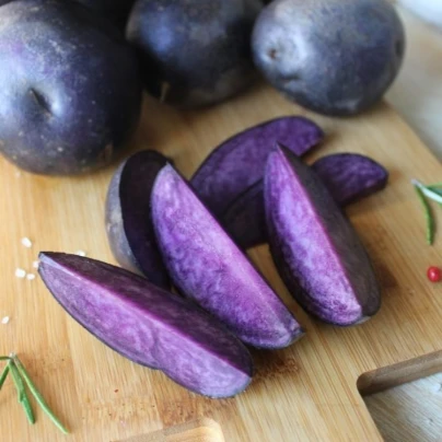 Sadbové brambory Violet Star - Solanum tuberosum - Kiepenkerl - sadba - 5 ks