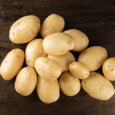 BIO Sadbové brambory Afra - Solanum tuberosum - Kiepenkerl - bio sadba - 10 ks