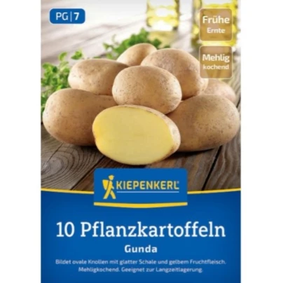 Sadbové brambory Gunda - Solanum tuberosum - Kiepenkerl - sadba - 10 ks