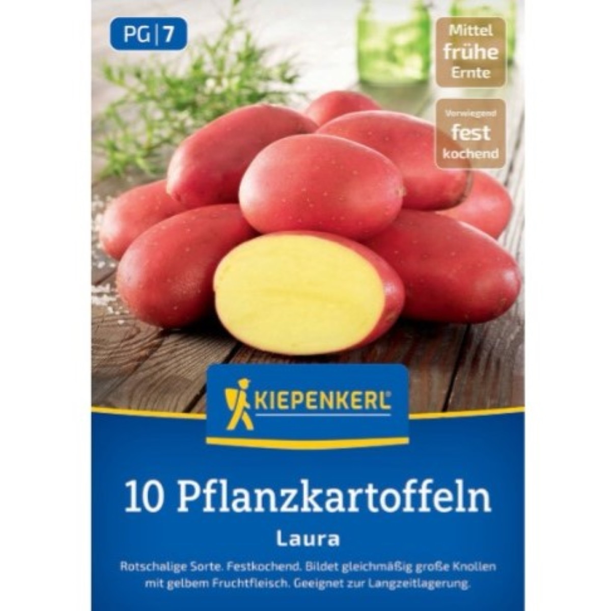 Sadbové brambory Laura - Solanum tuberosum - Kiepenkerl - sadba - 10 ks