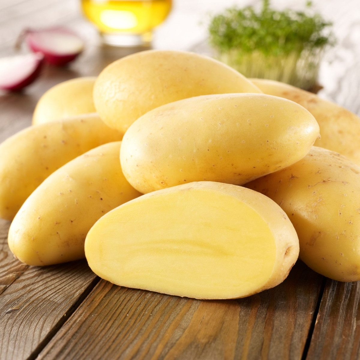 Sadbové brambory Cilena - Solanum tuberosum - Kiepenkerl - sadba - 10 ks
