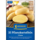 Sadbové brambory Cilena - Solanum tuberosum - Kiepenkerl - sadba - 10 ks