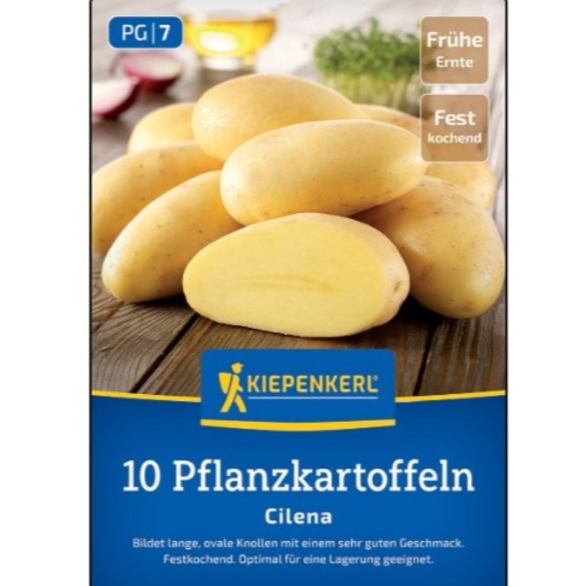 Sadbové brambory Cilena - Solanum tuberosum - Kiepenkerl - sadba - 10 ks
