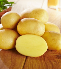 Sadbové brambory Glorietta - Solanum tuberosum - Kiepenkerl - sadba - 10 ks