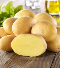 Sadbové brambory Linda - Solanum tuberosum - Kiepenkerl - sadba - 10 ks