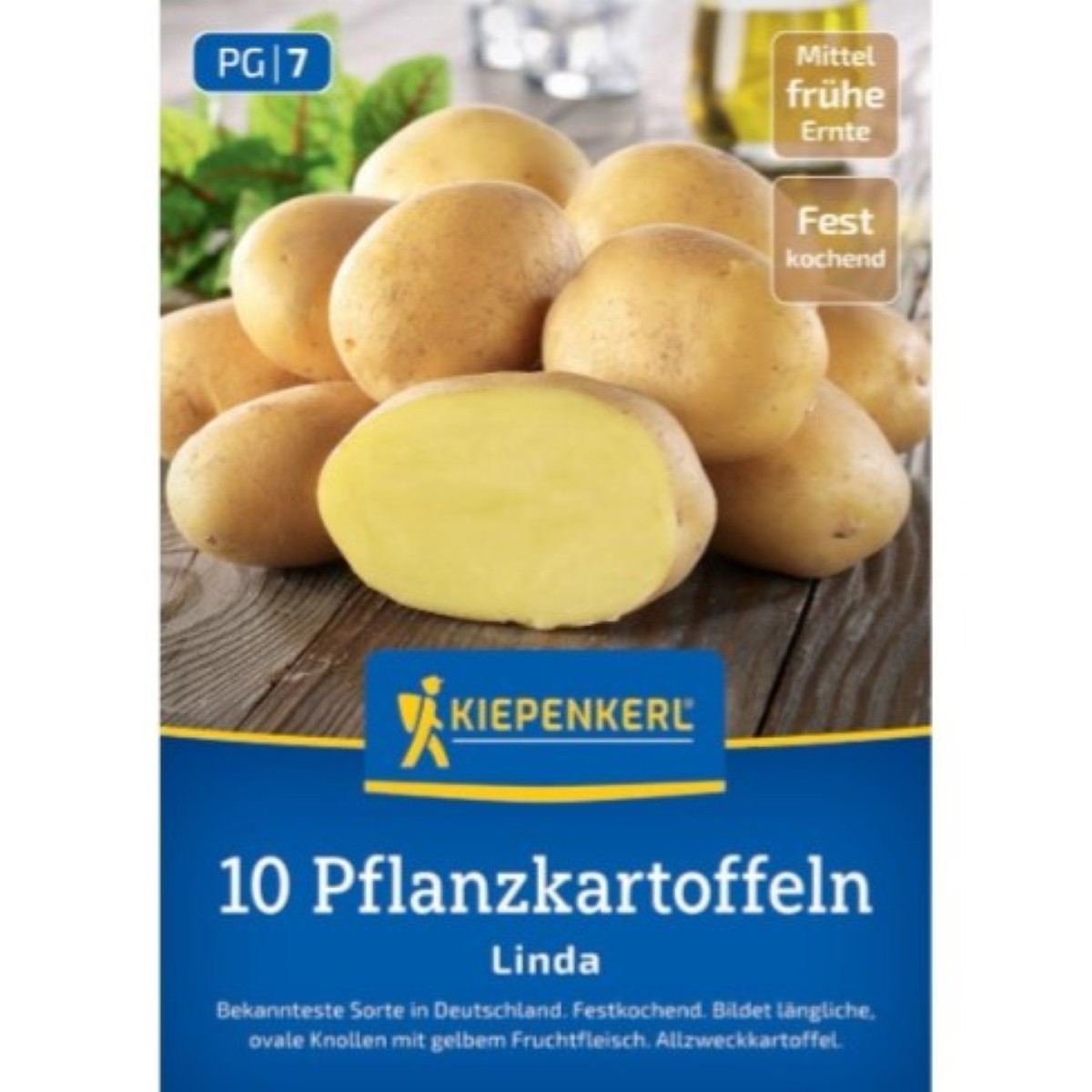 Sadbové brambory Linda - Solanum tuberosum - Kiepenkerl - sadba - 10 ks