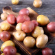 BIO Sadbové brambory - 4 druhy - rozmanitost - Solanum tuberosum - sadba - 12 ks