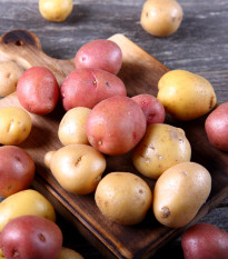 BIO Sadbové brambory - 4 druhy - rozmanitost - Solanum tuberosum - sadba - 12 ks