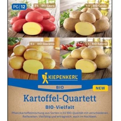 BIO Sadbové brambory - 4 druhy - rozmanitost - Solanum tuberosum - sadba - 12 ks
