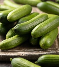 Mini okurka salátová La Diva - Cucumis sativus - osivo okurky - 8 ks