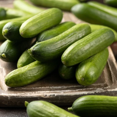 Mini okurka salátová La Diva - Cucumis sativus - osivo okurky - 8 ks