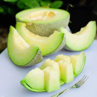 Meloun Tenor F1 - Cucumis melo - osivo melounu - 6 ks