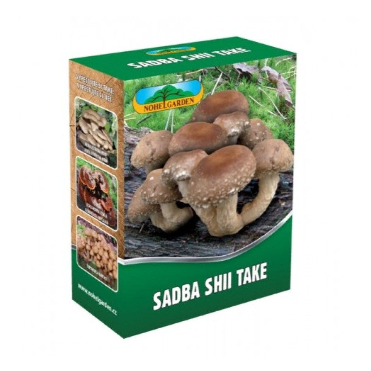 Shii take - Houževnatec jedlý - Lentinula edodes - sadba - 250 ml