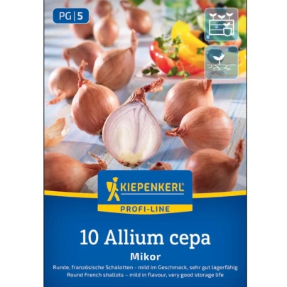 Cibule šalotka Mikor - Allium cepa - cibulky sazečky - 10 ks
