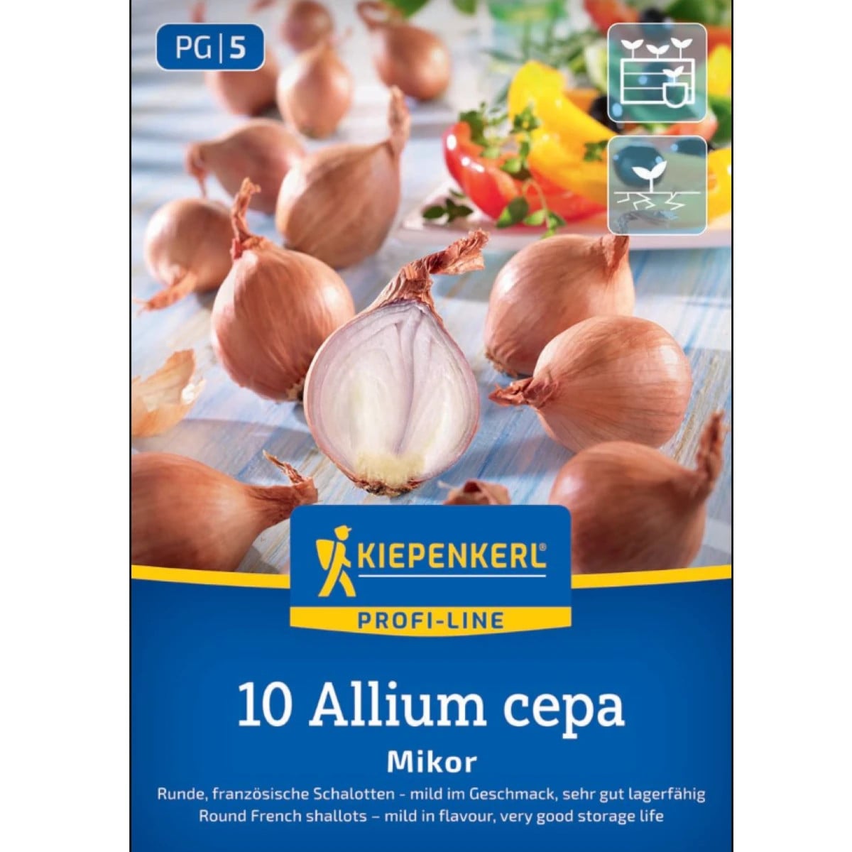 Cibule šalotka Mikor - Allium cepa - cibulky sazečky - 10 ks