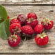 Jahodník Framberry - Fragaria ananassa - prostokořenná sazenice jahodníku - 2 ks