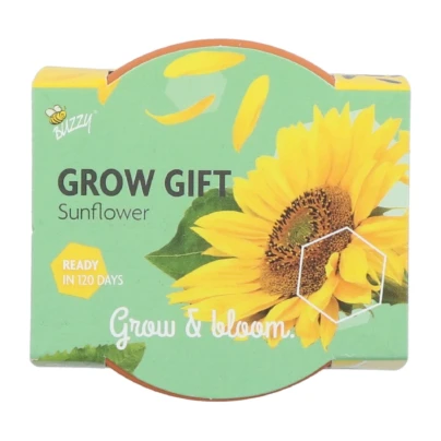 Buzzy Grow Gifts - Mini sada pro pěstování slunečnice - Pieterpik - 1 ks