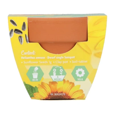 Buzzy Grow Gifts - Mini sada pro pěstování slunečnice - Pieterpik - 1 ks