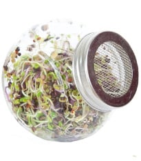 Buzzy - Bio klíčící sklenice Pikantní mix - Pieterpik - 1 ks