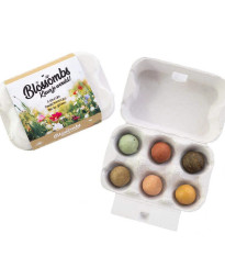 Semínkové bomby - dárkový box na vajíčka - Blossombs - 6 kuliček - 1 balení