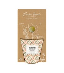 Dárkový set - Grow kit - směs pro pěstování bylinek - Blossombs - 1 ks