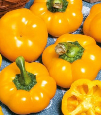 Paprika roční Topepo giallo - Capsicum annuum - osivo papriky - 20 ks