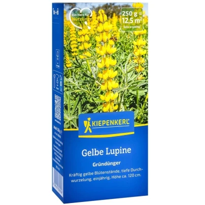 Zelené hnojení - Lupina žlutá - osivo - 250 g