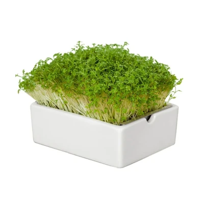 Startovací sada BIO microgreen - Heimgart - sada včetně 2 plátů - 1 ks