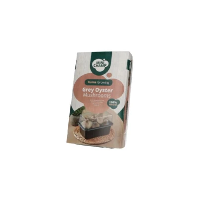 Mini Champ - sada pro domácí pěstování hlívy šedé - Pleurotus ostreatus - sadba - 1 ks