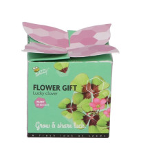 Buzzy Flower Gift - Mini sada pro pěstování čtyřlístku - Pieterpik - 1 ks