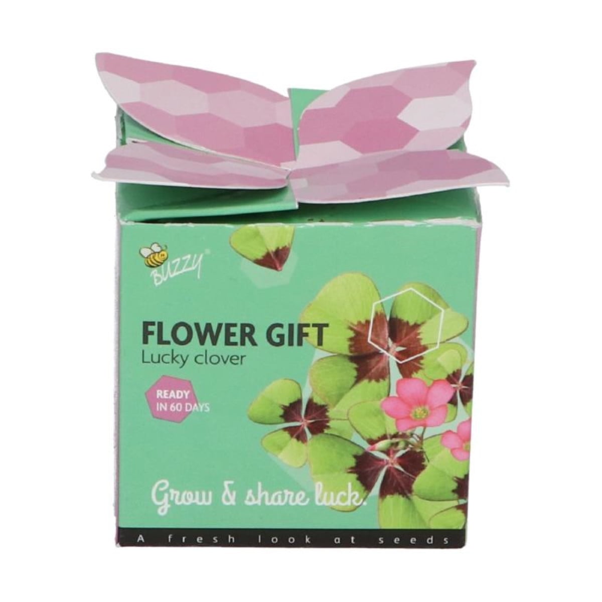 Buzzy Flower Gift - Mini sada pro pěstování čtyřlístku - Pieterpik - 1 ks