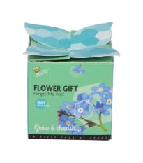 Buzzy Flower Gift - Mini sada pro pěstování pomněnky - Pieterpik - 1 ks