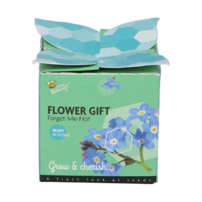 Buzzy Flower Gift - Mini sada pro pěstování pomněnky - Pieterpik - 1 ks