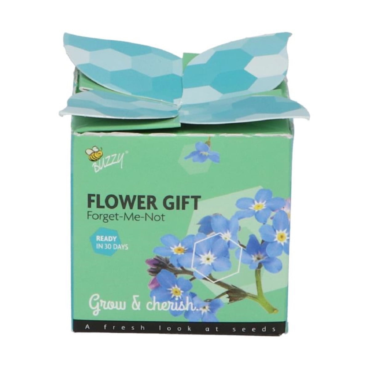 Buzzy Flower Gift - Mini sada pro pěstování pomněnky - Pieterpik - 1 ks