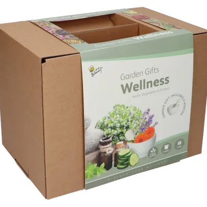 Buzzy Garden Gift - Dárková sada Wellness - Pieterpik - 1 balení