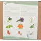 Buzzy Garden Gift - Dárková sada Wellness - Pieterpik - 1 balení