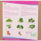 Buzzy Garden Gift - Dárková sada Fit zahrádka- Pieterpik - 1 balení