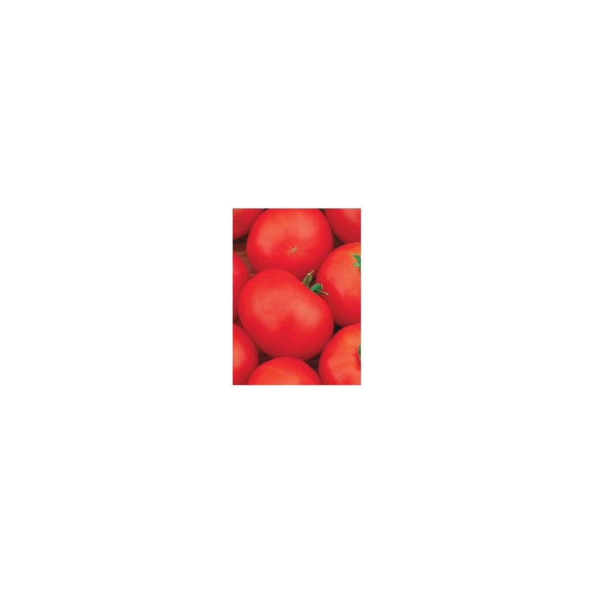 Rajče Hana - Solanum lycopersicum - osivo rajčat - 20 ks