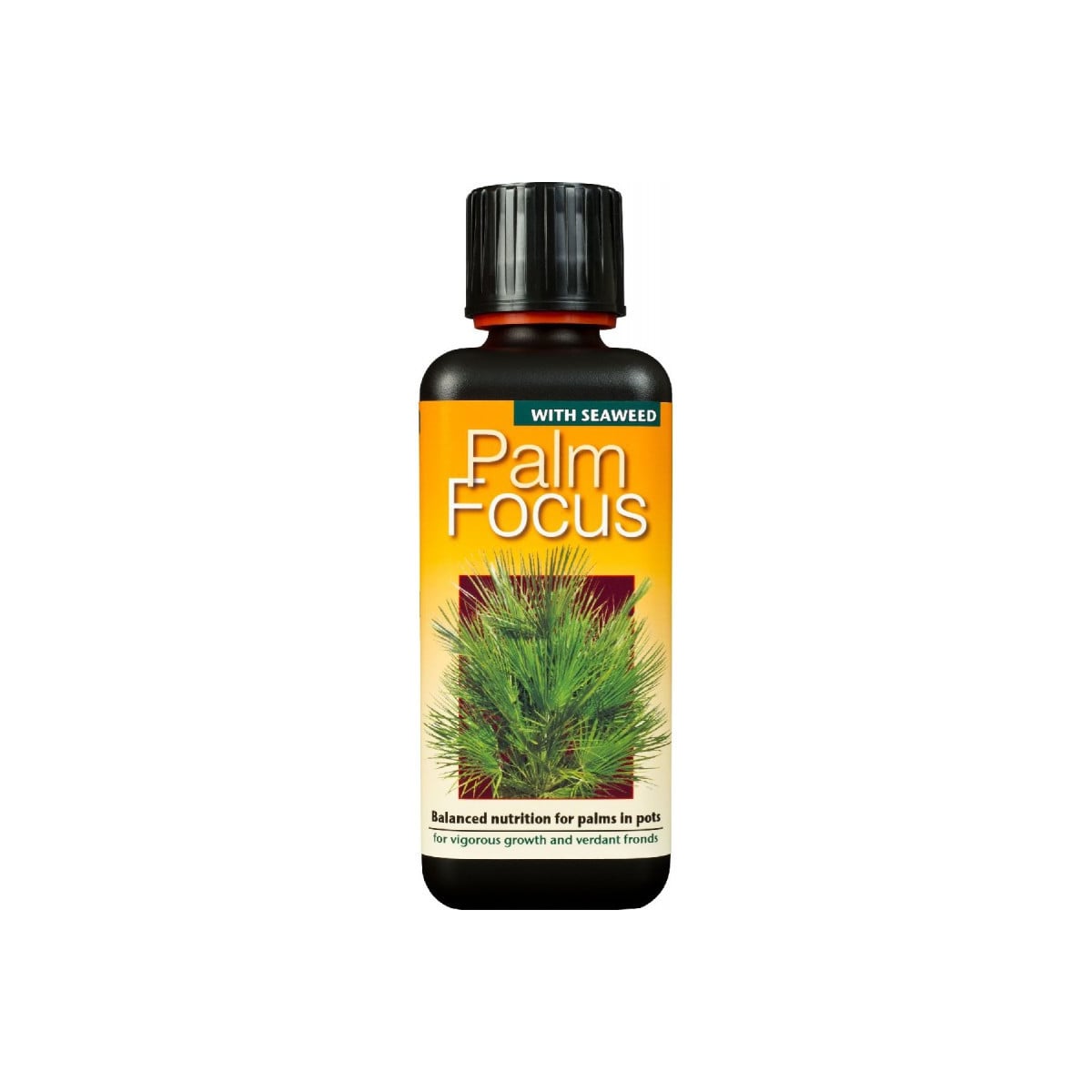 Hnojivo pro palmy - Palm focus - 300 ml