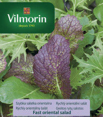 Vilmorin - Rychlý orientální salát - osivo salátu - 2 g