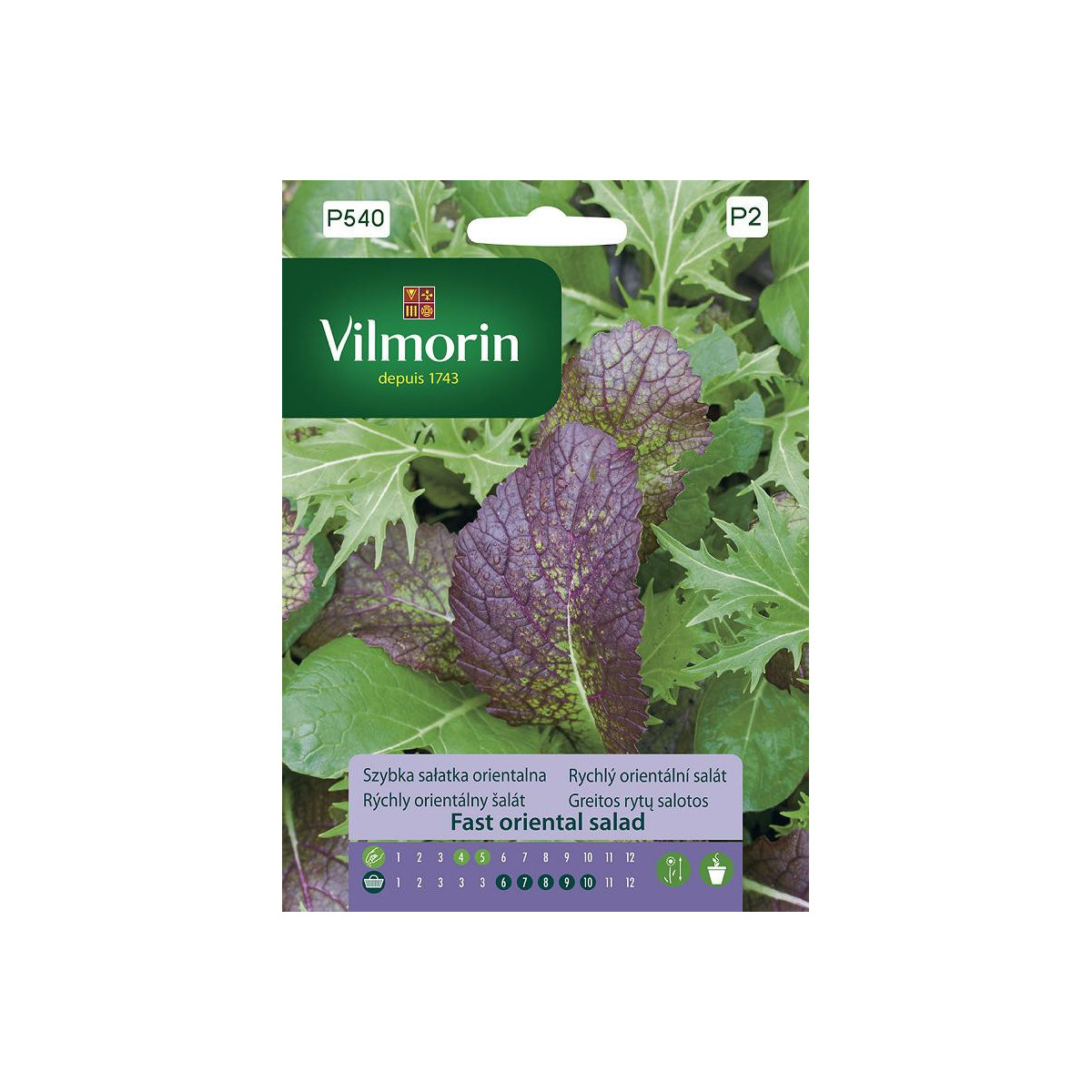 Vilmorin - Rychlý orientální salát - osivo salátu - 2 g