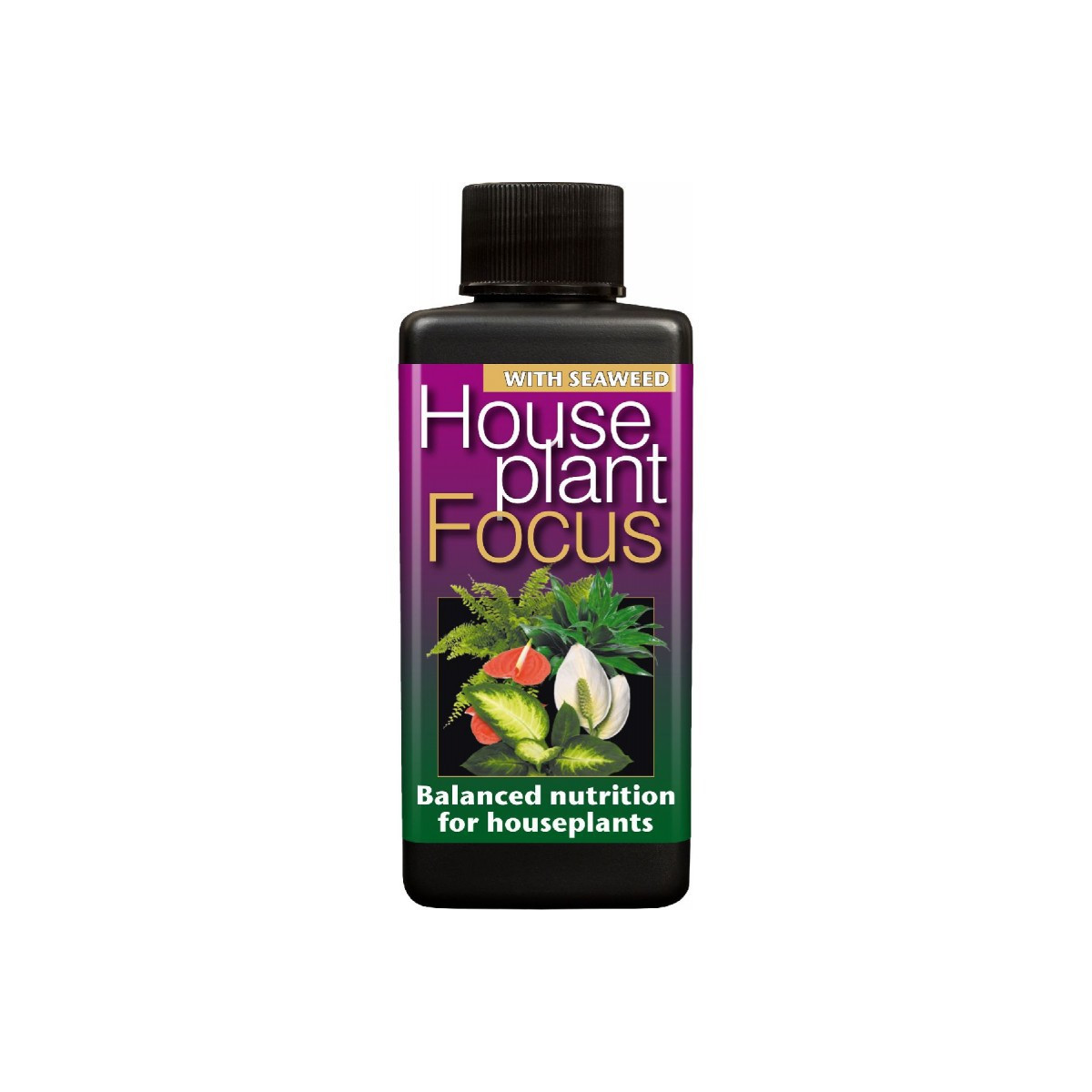 Hnojivo pro pokojové rostliny - House plant focus - 100 ml