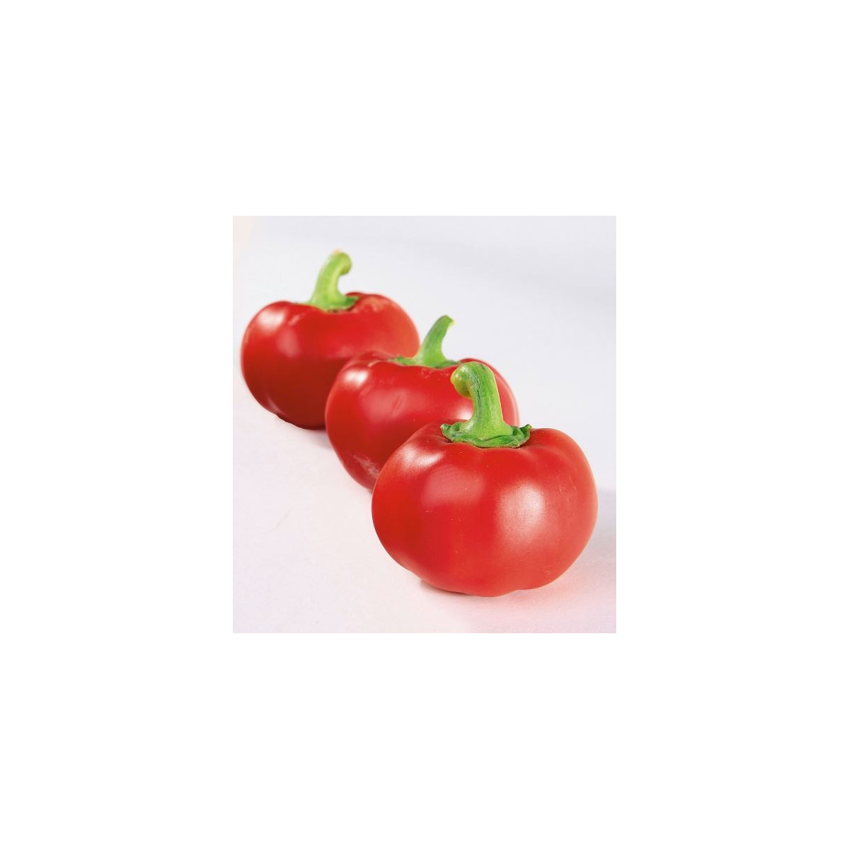 Paprika rajčatová Topgirl - Capsicum annuum - osivo paprik - 7 ks