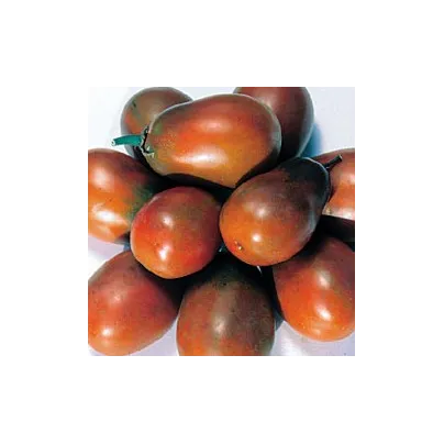 Rajče Černá švestka - Solanum lycopersicum - osivo rajčat - 6 ks