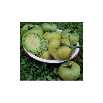 Rajče Teta - Solanum lycopersicum - osivo rajčat - 6 ks