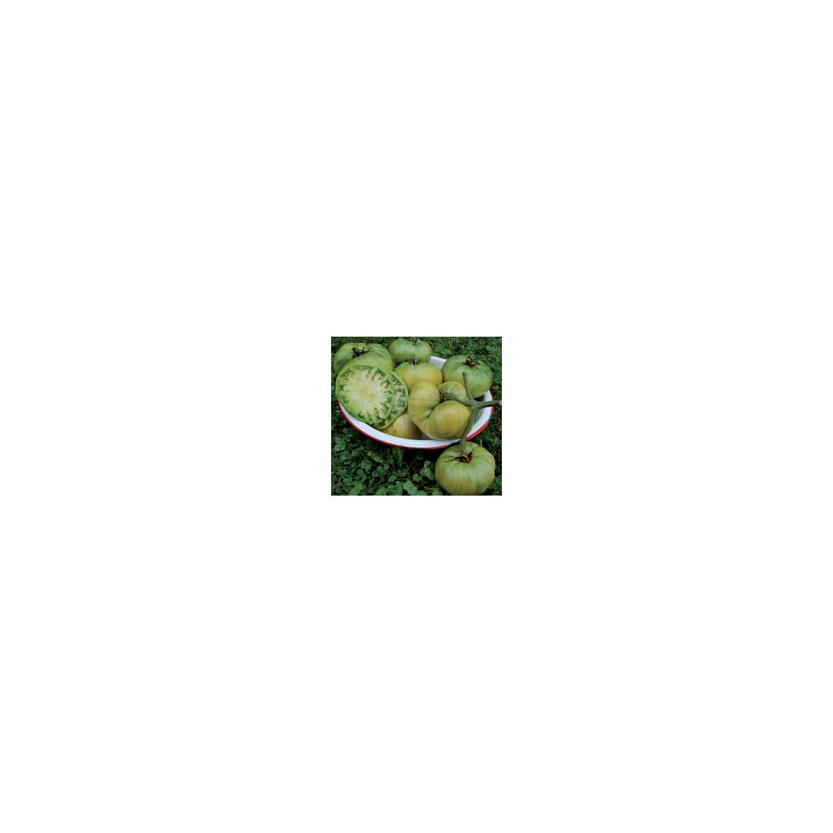 Rajče Teta - Solanum lycopersicum - osivo rajčat - 6 ks