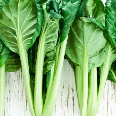 Tatsoi - Brassica rapa var rosularis - osivo tatsoi - 100 ks