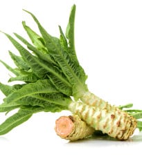 Salát chřestový Celtuce - Lactuca sativa L.var.asparagina - osivo chřestového salátu - 300 ks