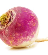 Vodnice kulatá červenobílá  - Brassica rapa L. - osivo vodnice - 350 ks